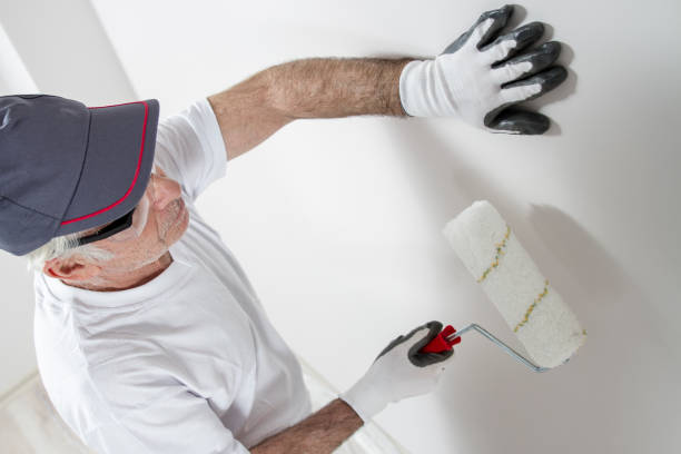 Best Mold Damage Restoration  in Lake Ssota, WI