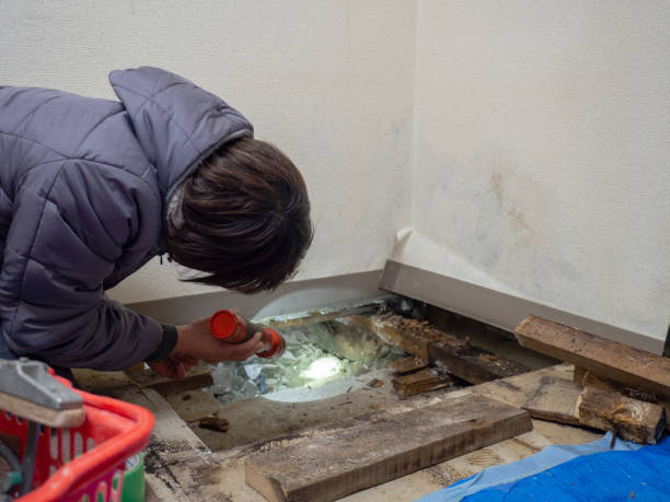 Best Emergency Mold Remediation  in Lake Ssota, WI