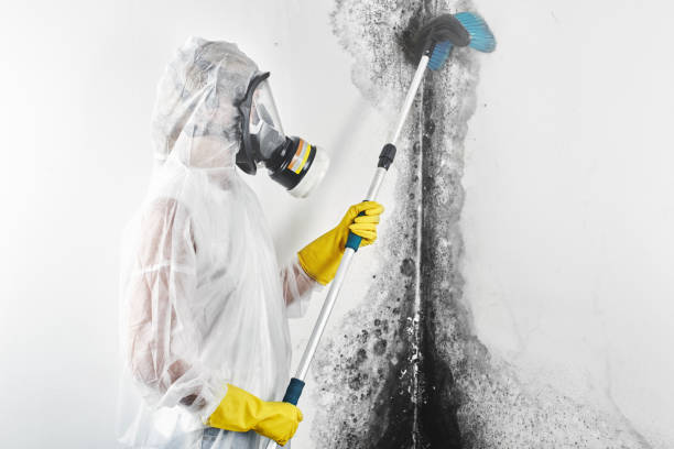 Forensic Mold Investigation in Lake Wissota, WI