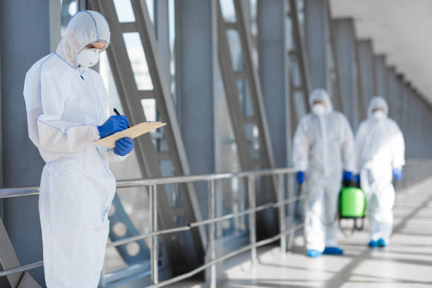 Best Environmental Consulting for Mold Prevention  in Lake Ssota, WI