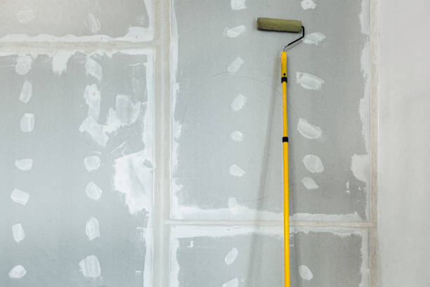 Best Post-Remediation Verification Testing  in Lake Ssota, WI