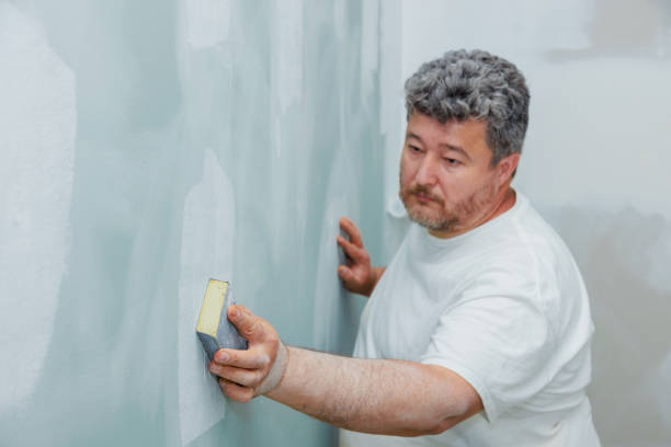 Best Mold Damage Restoration  in Lake Ssota, WI