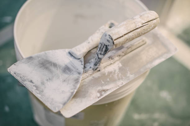 Best Dehumidification Services  in Lake Ssota, WI