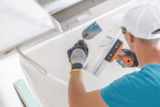 Best Crawl Space Mold Remediation  in Lake Ssota, WI